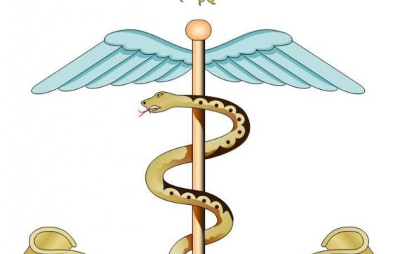 Medical Regiment insignia